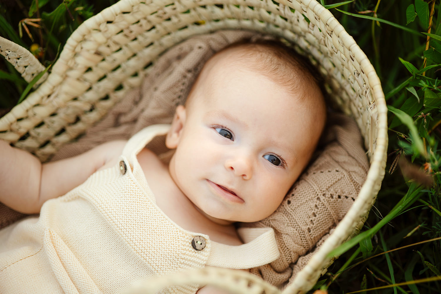 fotografia profesional de un bebe en la naturaleza en santander